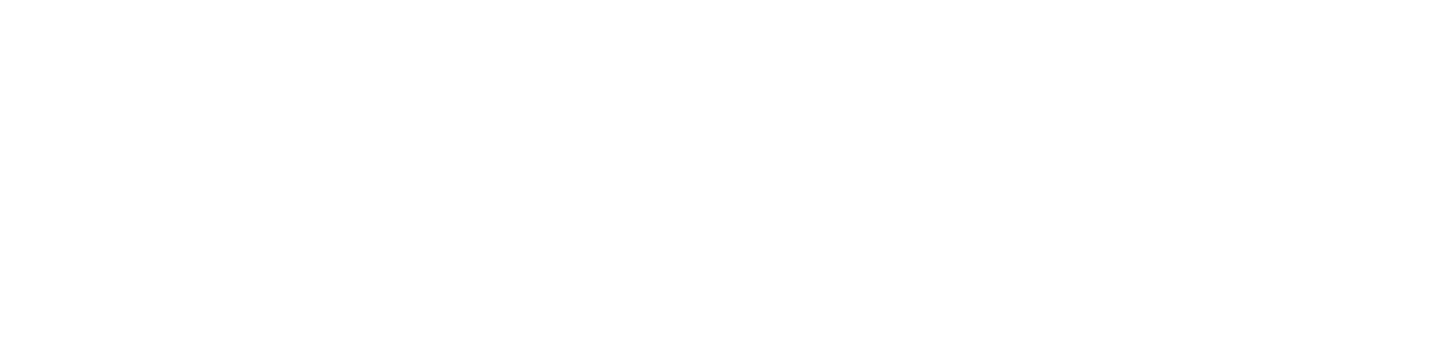 SELTIC-logo_tag_wht-w2000